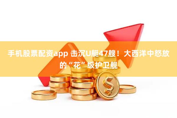 手机股票配资app 击沉U艇47艘！大西洋中怒放的“花”级护卫舰