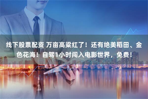 线下股票配资 万亩高粱红了！还有绝美稻田、金色花海！自驾1小时闯入电影世界，免费！