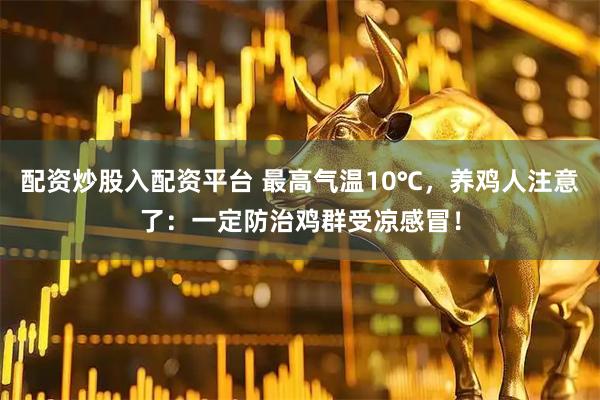 配资炒股入配资平台 最高气温10℃，养鸡人注意了：一定防治鸡群受凉感冒！
