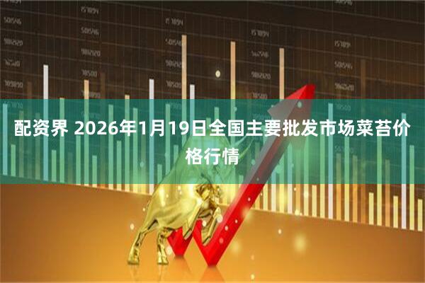 配资界 2026年1月19日全国主要批发市场菜苔价格行情